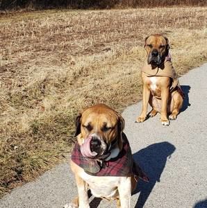 Meet your Posher, Tim